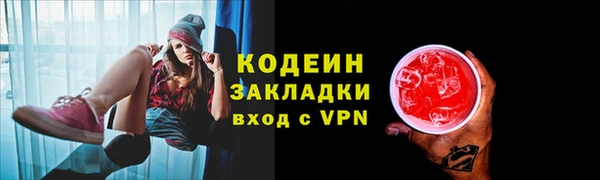 молекула духа Пересвет