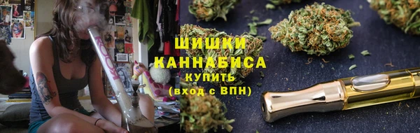 молекула духа Пересвет